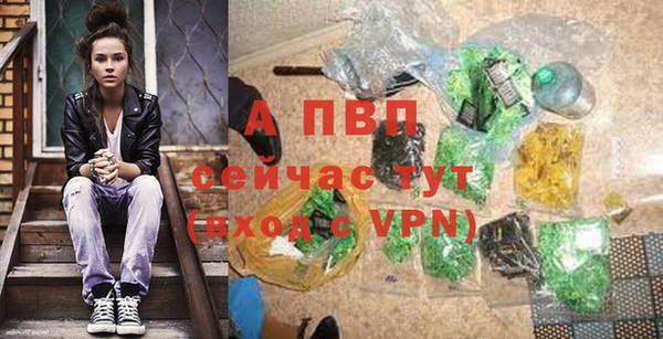 винт Аркадак
