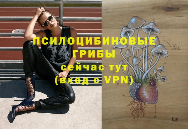кристаллы Арсеньев