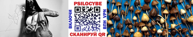 Псилоцибиновые грибы ЛСД Тында