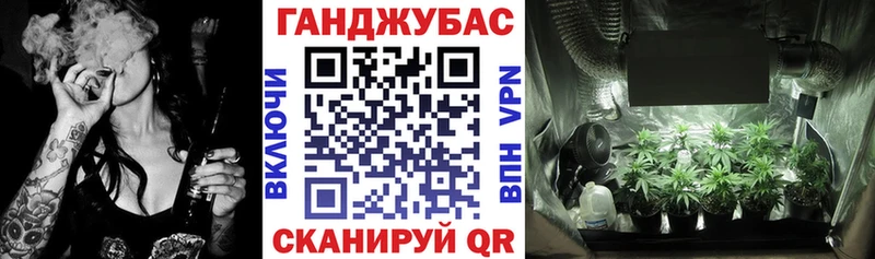 Каннабис конопля  Тында 